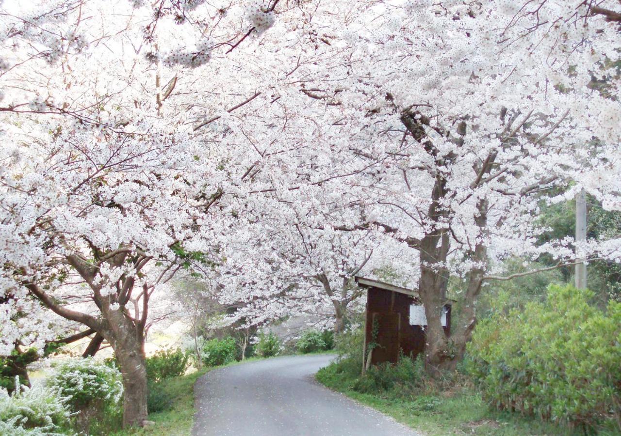 Nishiizu Matsuzaki Itoen Hotel Buitenkant foto